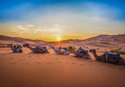 Une semaine au Maroc : Marrakech, désert & Essaouira en aventure inoubliable