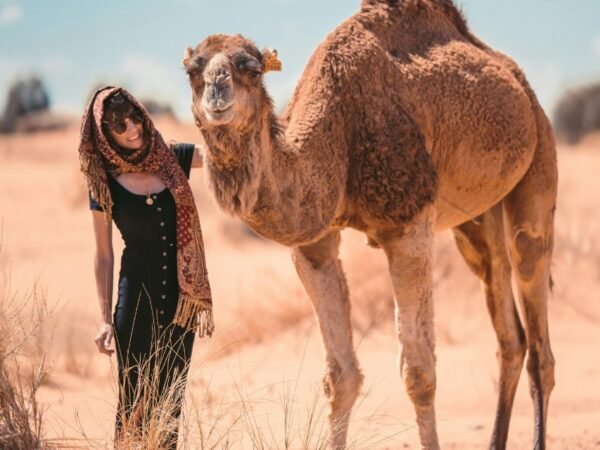 4 jours aux dunes de Merzouga, Zagora et les gorges du Todra | Agence de voyage à Marrakech
