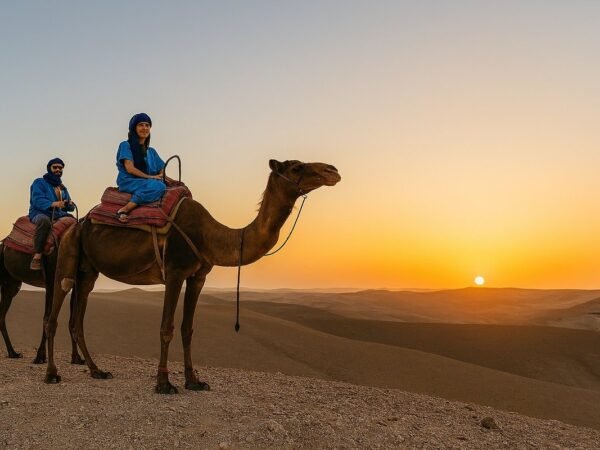 Quad, Balade en dromadaire & dîner spectacle à Agafay